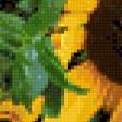 Предпросмотр схемы вышивки «подсолнухи» (№861873)