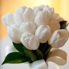 Схема вышивки «тюльпаны»