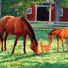 Схема вышивки «в сельском дворе»