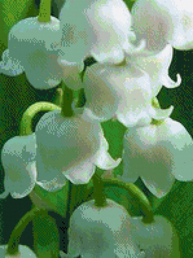 ландыши - весна, ландыши, цветы - предпросмотр