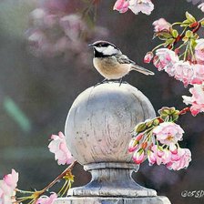 птичка и цветы