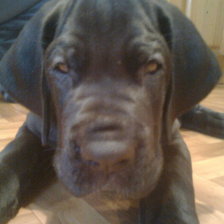 Схема вышивки «Даня»