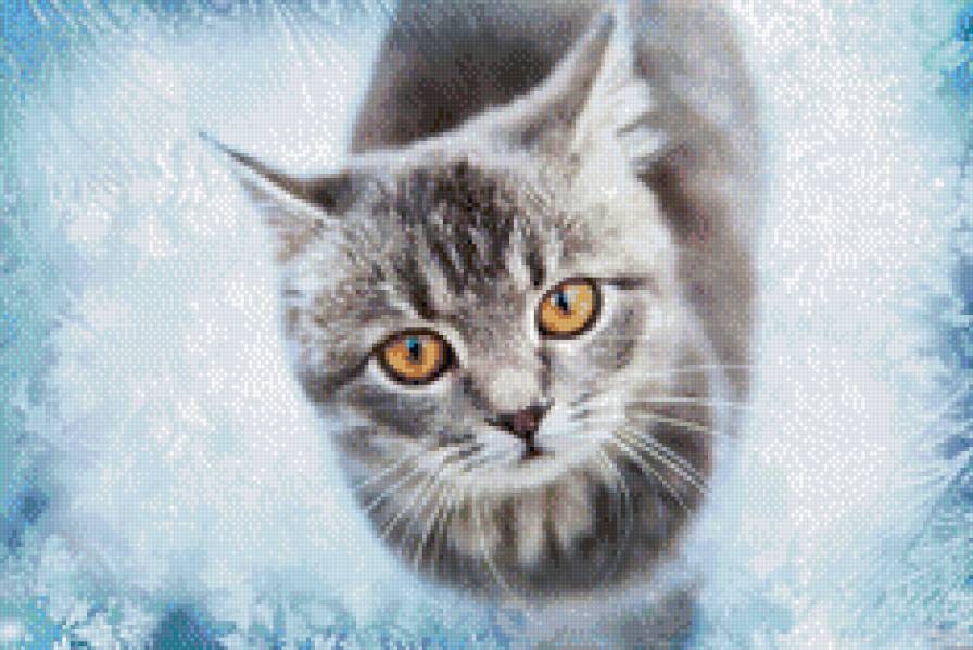 Кися - предпросмотр