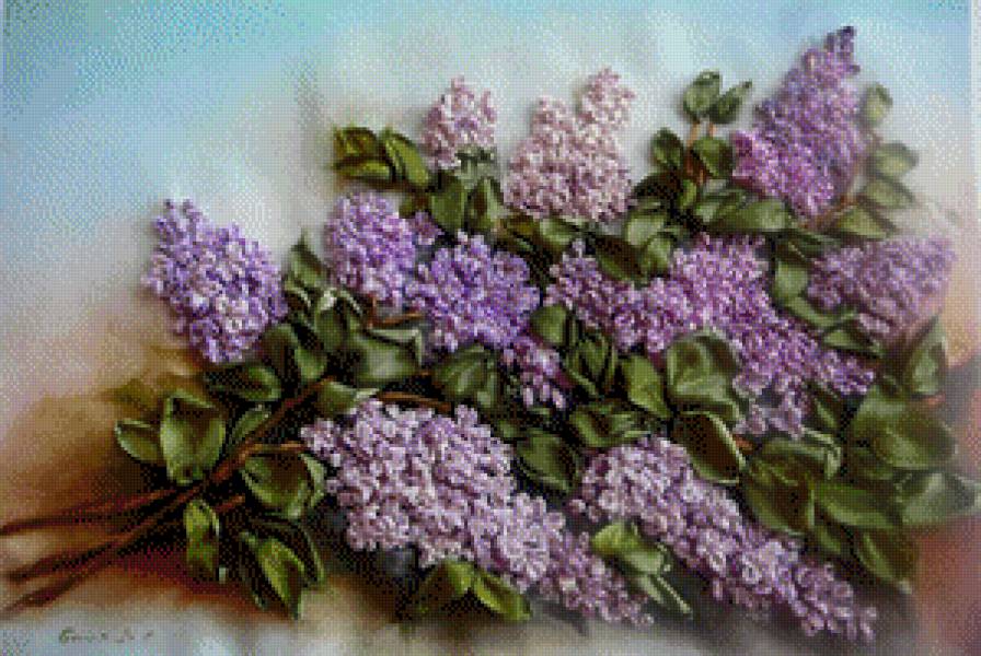 alyvos - siren;, lilac, alyvos - предпросмотр