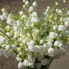 Схема вышивки «Ландыши2»