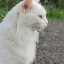 Схема вышивки «Моя крошка»