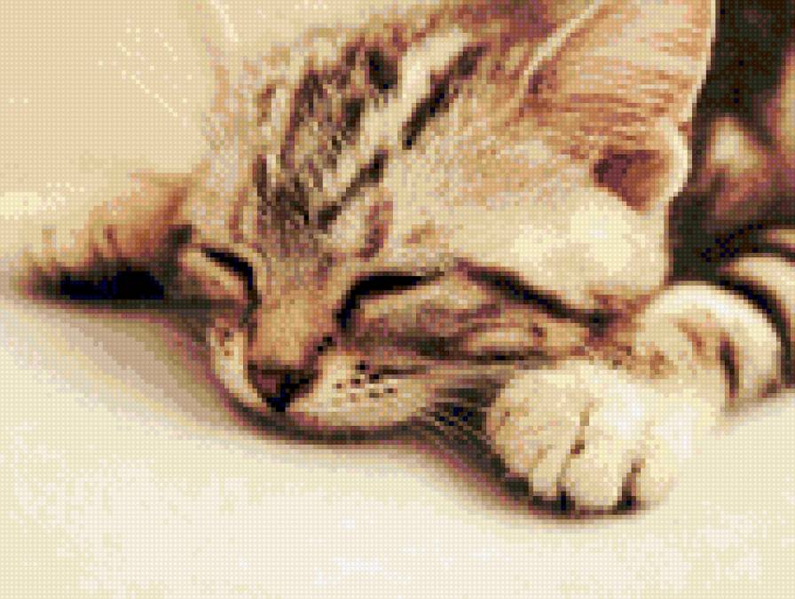 Спящий котёнок - котенок, спящий, сепия, кот, сон, котик - предпросмотр