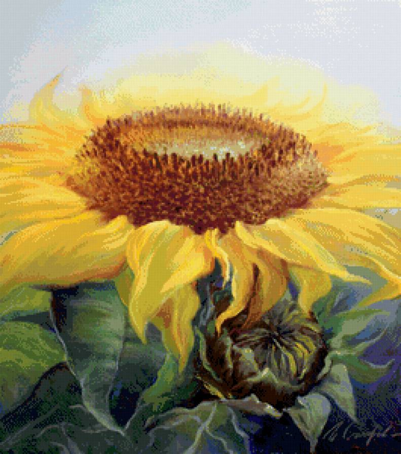 подсолнух - лето, картина, цветы, солнце, подсолнух, панно - предпросмотр