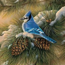 Схема вышивки «Новогодняя подушка»