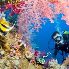 Схема вышивки «Дайвер»