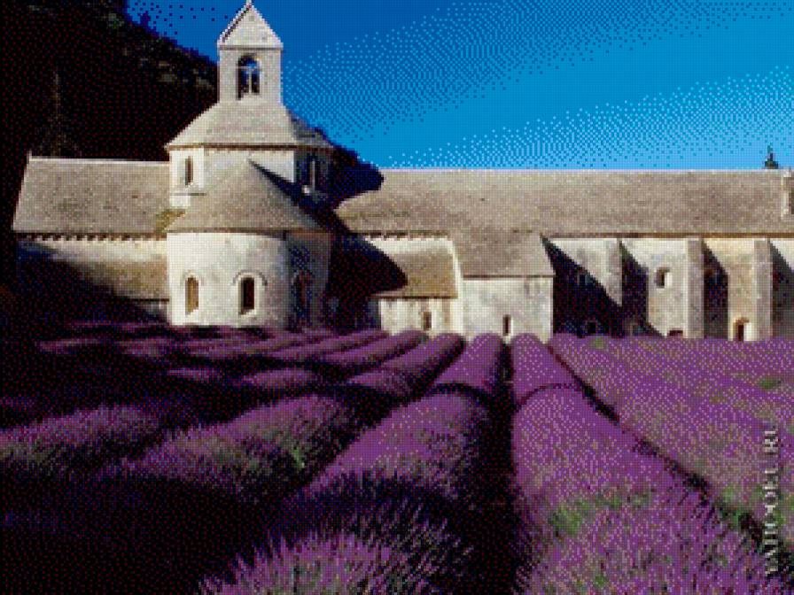 лавандовое поле - природа - предпросмотр