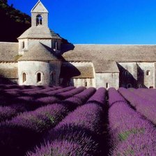 Схема вышивки «лавандовое поле»