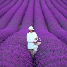 Схема вышивки «лаванда»