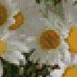 Предпросмотр схемы вышивки «Ромашки» (№862956)