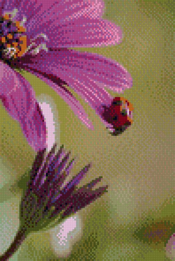 Божья коровка - божья коровка, цветы - предпросмотр