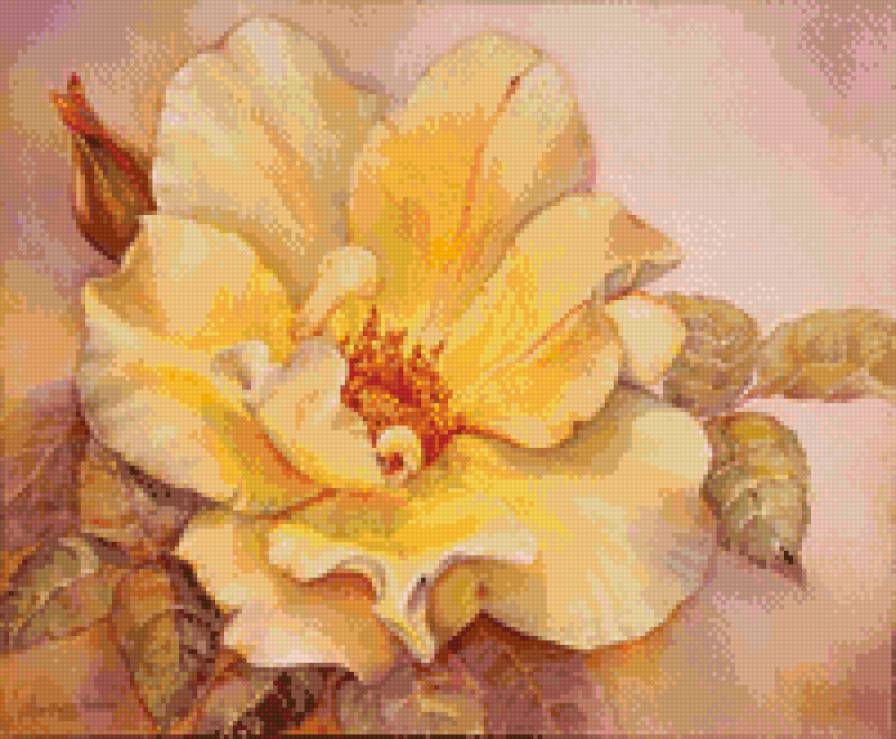 Магнолия - цветок, желтый, цветы, магнолия - предпросмотр