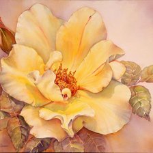 Схема вышивки «Магнолия»