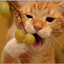 Схема вышивки «Вкусный виноград»