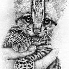 Схема вышивки «тигр»