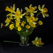 Схема вышивки «желтое на черном»