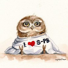 Схема вышивки «совёнок»