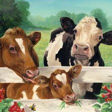 Схема вышивки «Счастливое семейство»