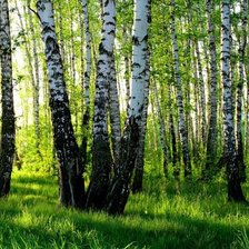 Схема вышивки «№863747»