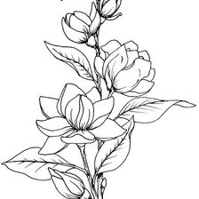 Схема вышивки «Витраж.Пейсли. Магнолия.»