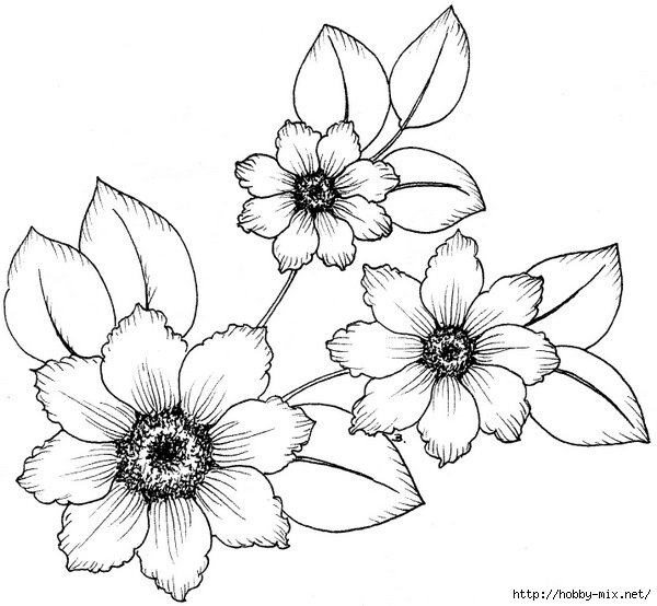 Витраж. Цветок. Цвета на выбор. - фантазия, цветок, витраж - оригинал