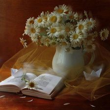 Схема вышивки «ramashki»