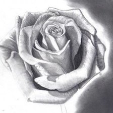 Схема вышивки «Роза 3»