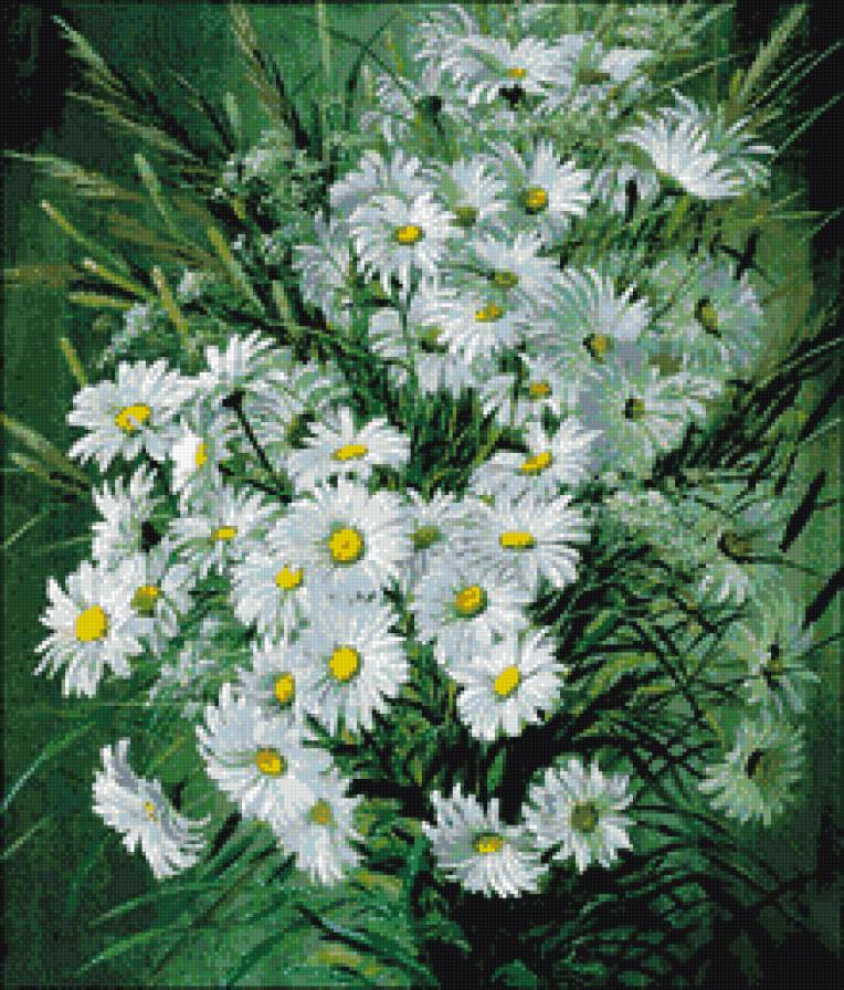 Ромашки - букет - предпросмотр