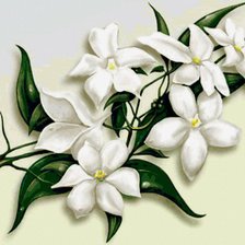 Схема вышивки «Цветы»