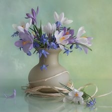 крокусы и пролески