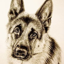 Схема вышивки «овчарка»