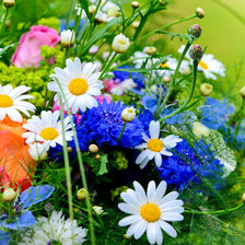 Схема вышивки «весна»