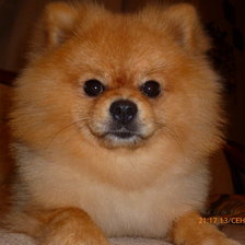 Схема вышивки «Карат в другом фомате»