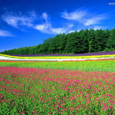 Схема вышивки «landscape»