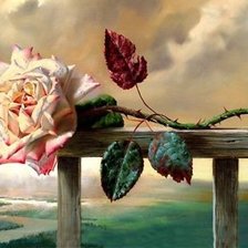 Схема вышивки «роза 17»