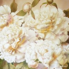 Схема вышивки «Белые пионы»