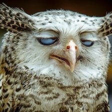 Схема вышивки «утро»