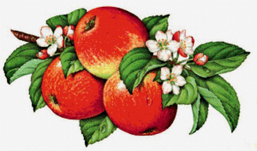 яблочки - предпросмотр