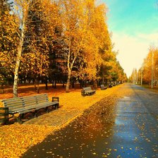Схема вышивки «золотая осень»