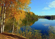 осень золотая