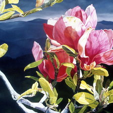 Схема вышивки «магнолия в цвету»