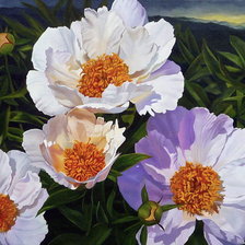 Схема вышивки «белые пионы»