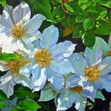 Схема вышивки «шиповник цветёт»