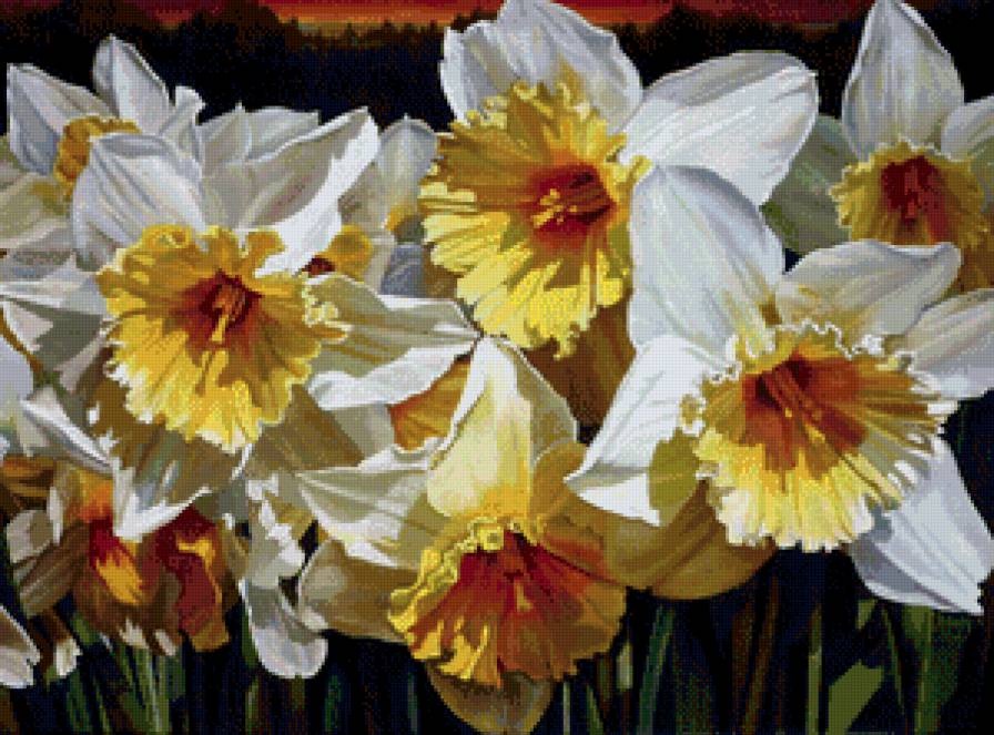 весенние нарцисы - нарцисы, букет, картина, панно, цветы, весна - предпросмотр