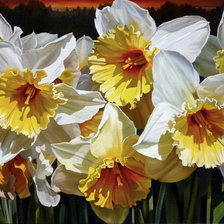 Схема вышивки «весенние нарцисы»