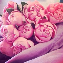 Схема вышивки «пионы»